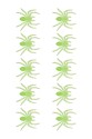 Small glow in the dark spiders