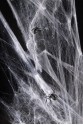 Halloween spider web white 60 g