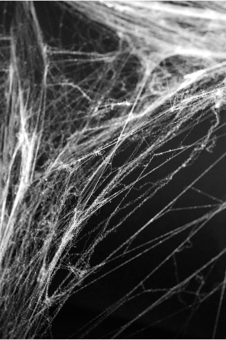 Halloween spider web, white, 60 g