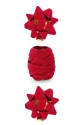 Velvet ribbon and rosette set