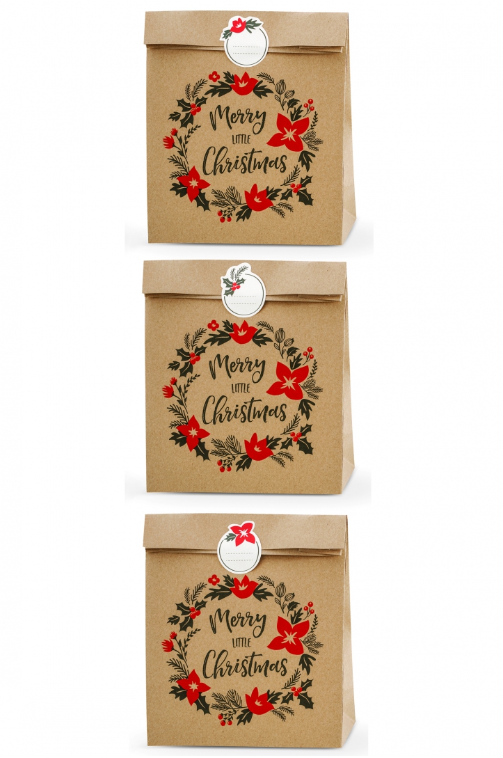 GIFT BAGS MERRY LITTLE CHRISTMAS 25x11x27cm