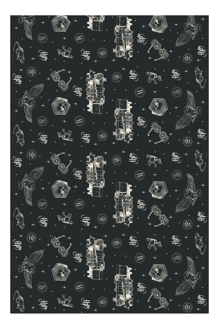 Obrus papierowy Harry Potter