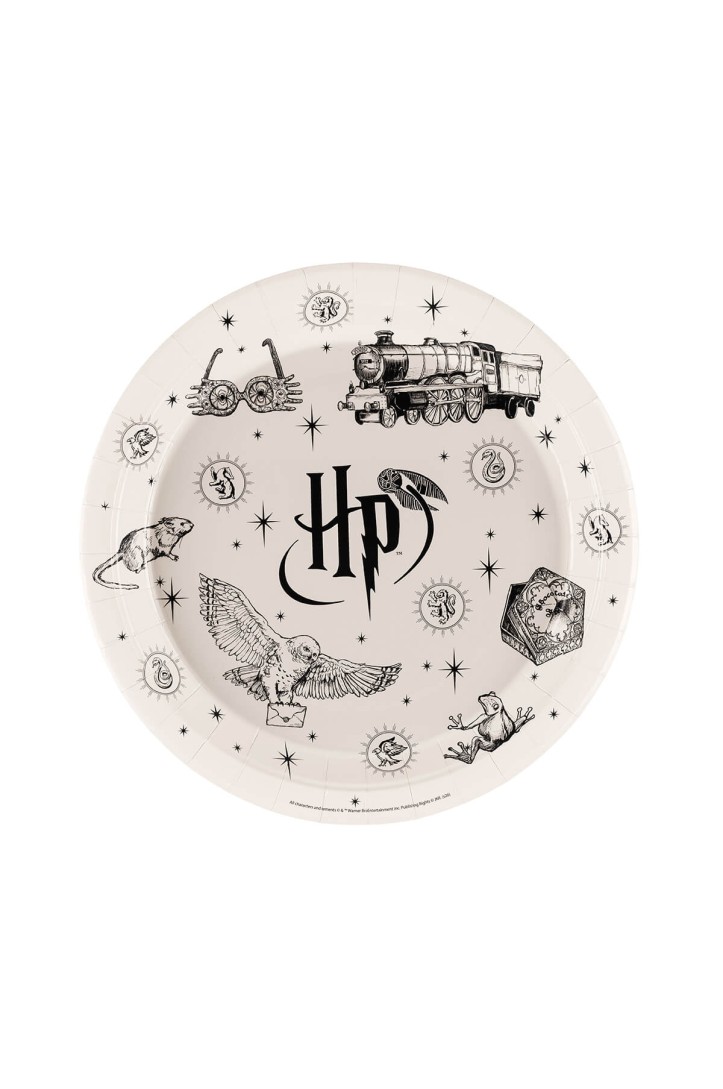 Paper plates Harry Potter