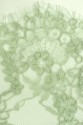 VL4294 SAGE
