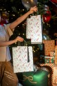 Gift Bags Sweets and Gingerbread